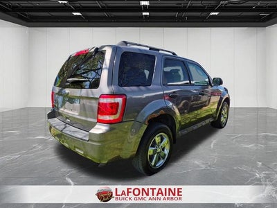 2011 Ford Escape XLT