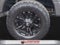 2020 Ford F-250 Platinum